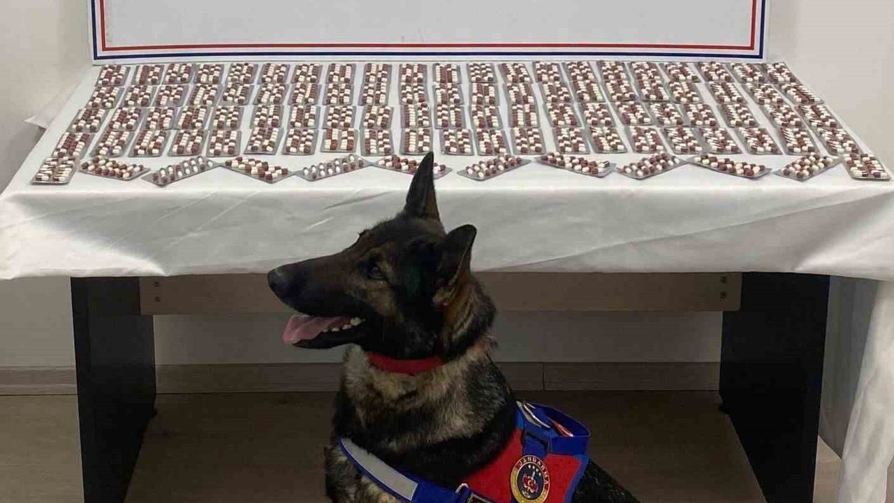 Kastamonu Tosya'da jandarma operasyonunda 1.344 sentetik ecza hap ele geçirildi; şüpheli tutuklandı