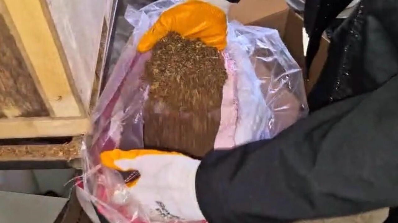 Kayseri'de 49 bin 200 adet makaron ve 30 kilogram kaçak tütün ele geçirildi: 1 gözaltı