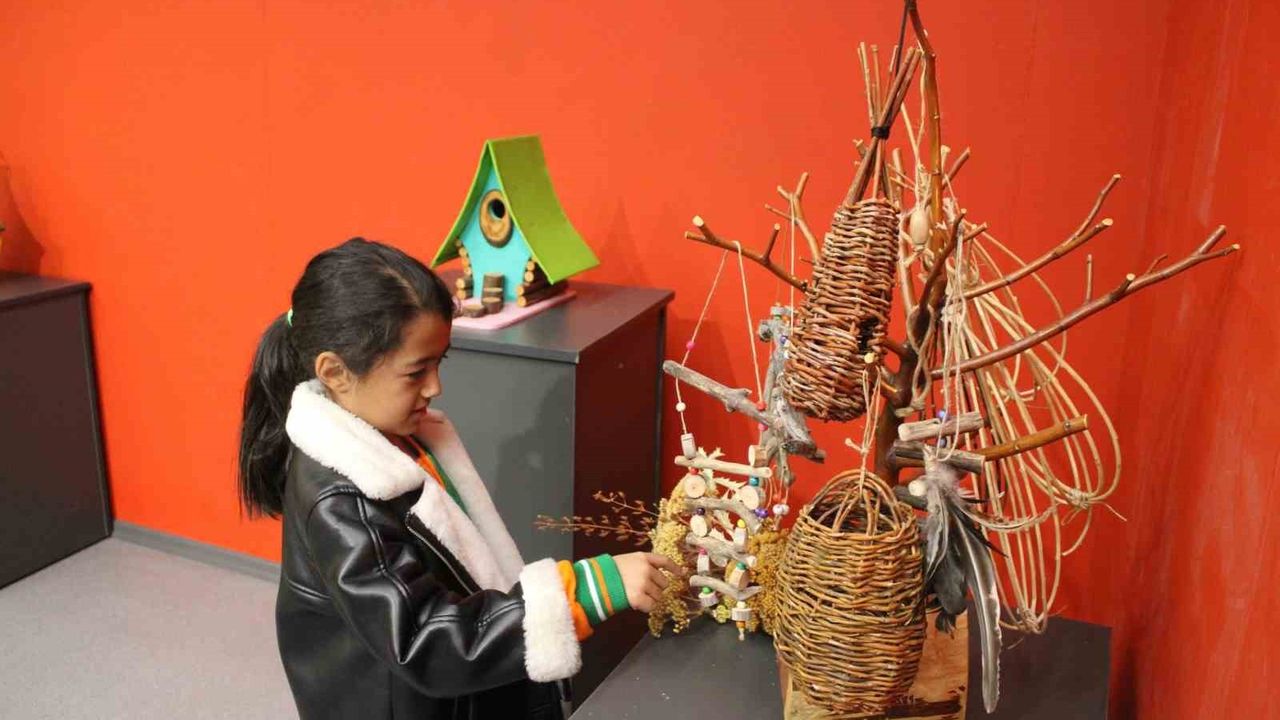 Kayseri'de Abdülkadir Dağlı, Doğadan Topladığı Ahşaplarla Kuş Evi Sergisi Açtı