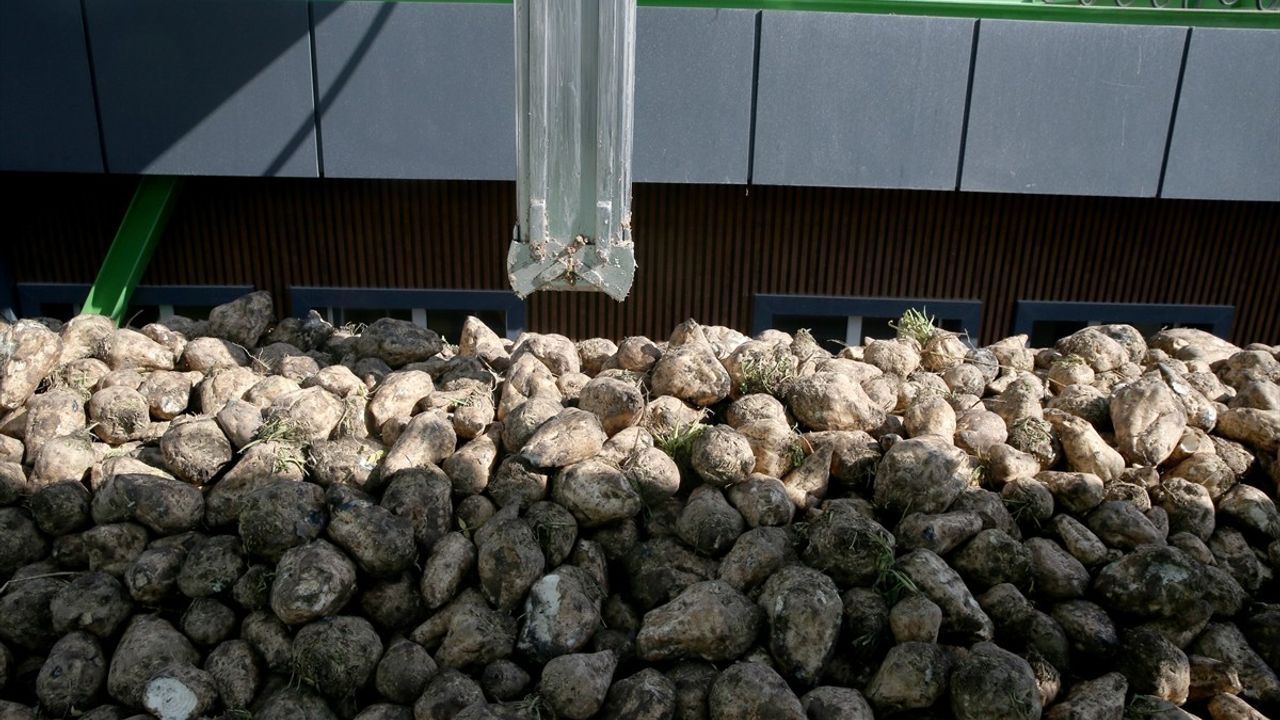 Kayseri Şeker 2025-2026 kampanyasında 3 milyon 400 bin ton pancar ve yaklaşık 475 bin ton şeker hedefliyor