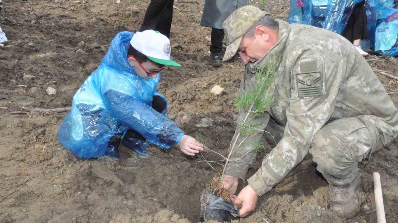 Keşan'da yangından zarar gören alana 2 bin çam fidanı dikildi