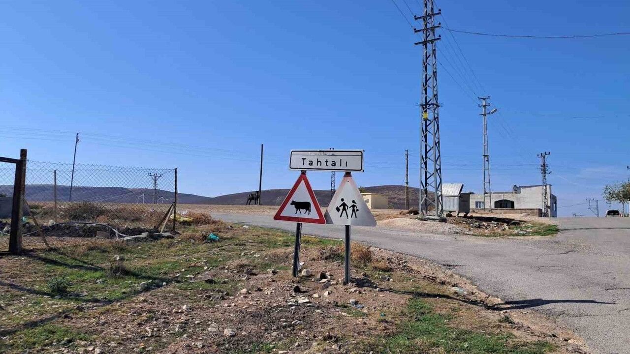 Kilis'te kurt saldırısı: Tahtalı köyünde 3 küçükbaş telef oldu, 2 yaralandı