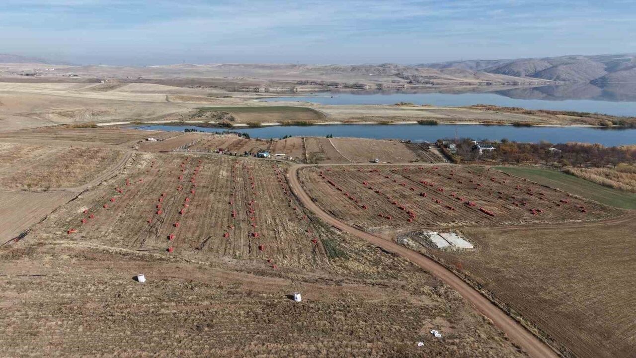 Kırıkkale’de kuraklık soğan verimini düşürdü: Rekolte 8 tondan 5 tona geriledi, üretici su tasarrufuna çağırıyor