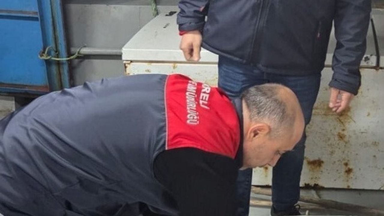 Kırklareli Kıyıköy Limanı'nda Su Ürünleri Denetimi: Tebliğ Uygunluğu Kontrol Edildi