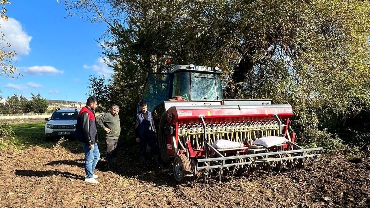 Kırklareli Vize'de yerli ve milli yulaf çeşitleri üreticilere tanıtılıyor