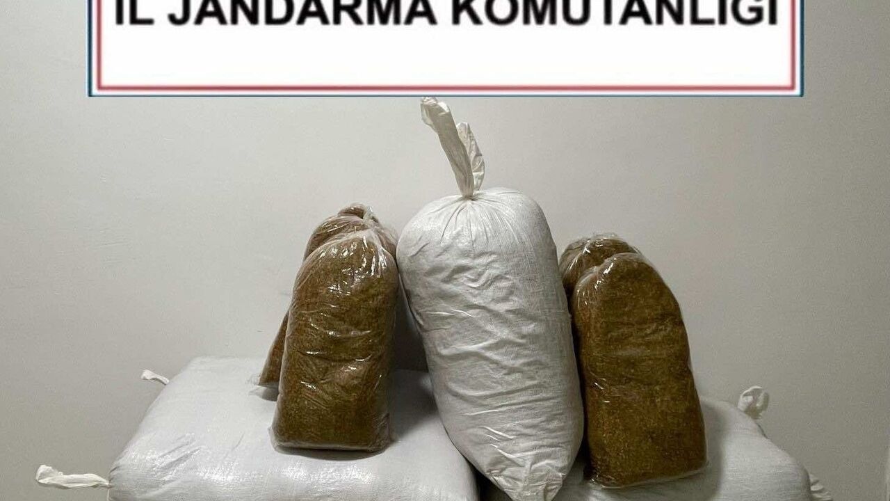 Kırşehir'de jandarma otobüste 230 kilogram kaçak tütün ele geçirdi