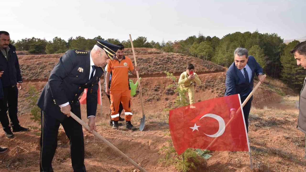 Kırşehir'de şehitler anısına 500 fidan dikildi