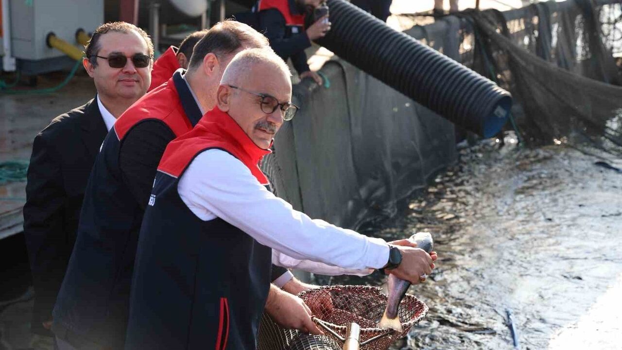 Kırşehir Hirfanlı Barajı’nda Türk somonu üretimi: Alpenorth ihracatta öne çıkıyor