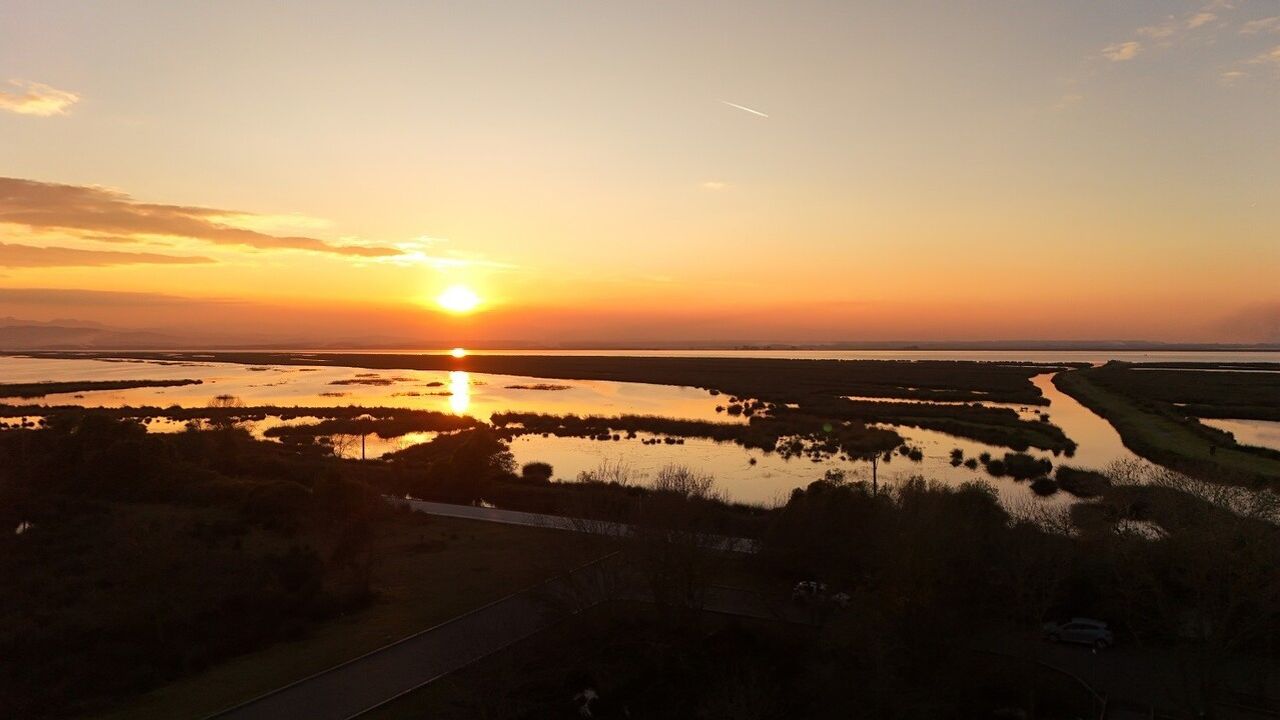 Kızılırmak Deltası Kuş Cenneti sonbaharda altın tonlara büründü