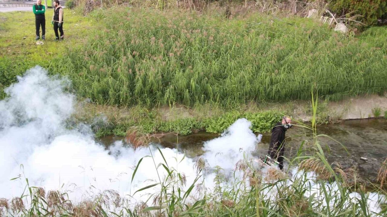 Kocaeli Büyükşehir Belediyesi sivrisineklerle mücadelede kışlık uygulama modeline geçti