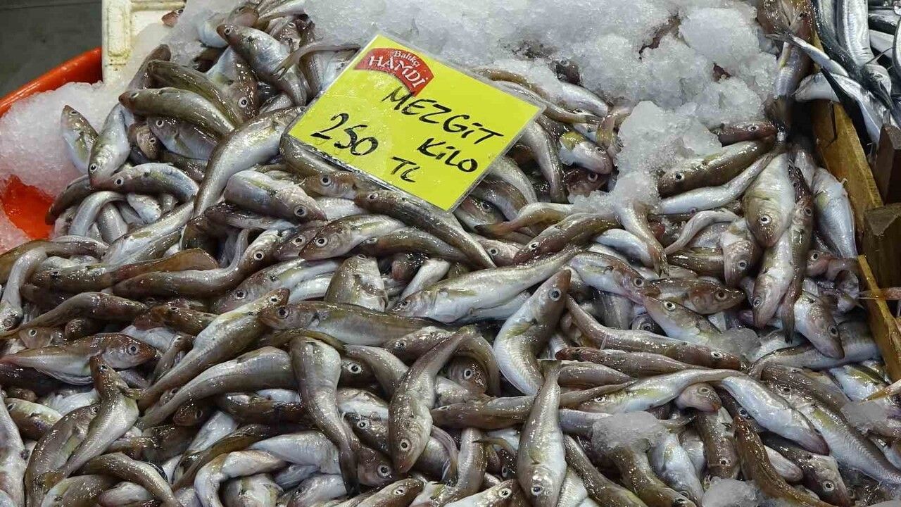 Kocaeli'de Balık Tezgahlarında Çeşit Artıyor, Bolluk Henüz Beklenmiyor