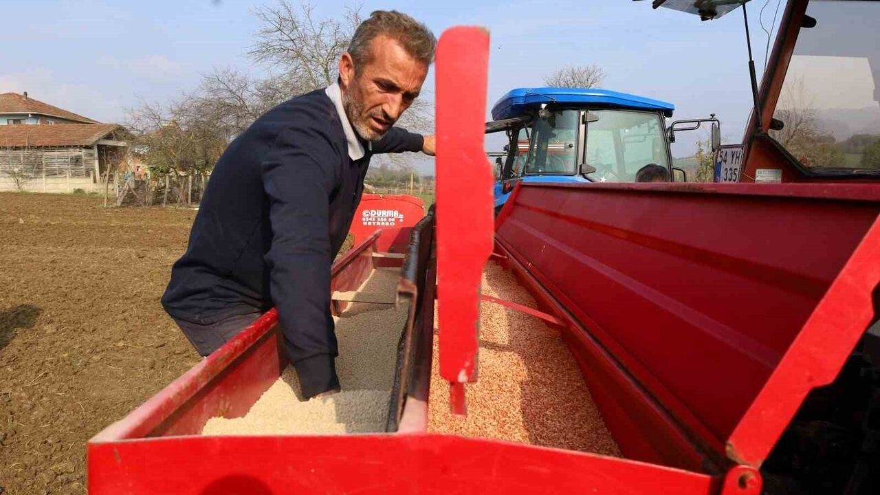 Kocaeli'de çiftçilere yüzde 75 hibe ile tohum desteği: 110 bin dekara ekim başladı