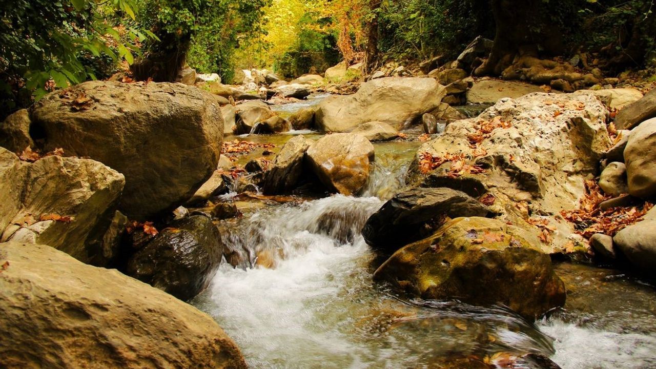 Koçak Kanyonu sonbaharda dikkat çekti: Doğaseverler 'Tabiat Parkı' statüsü talep ediyor
