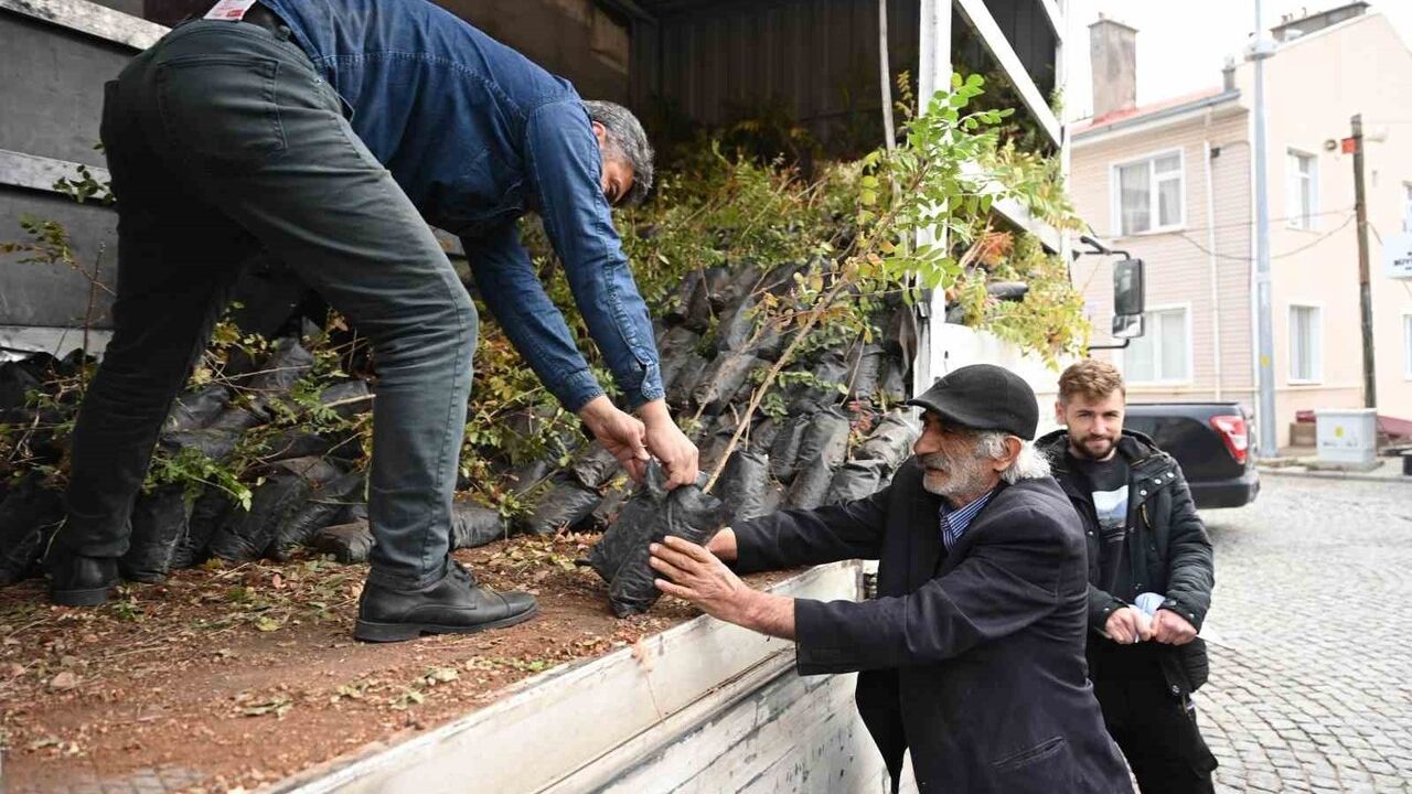 Konya Büyükşehir'den üreticiye sumak fidanı desteği