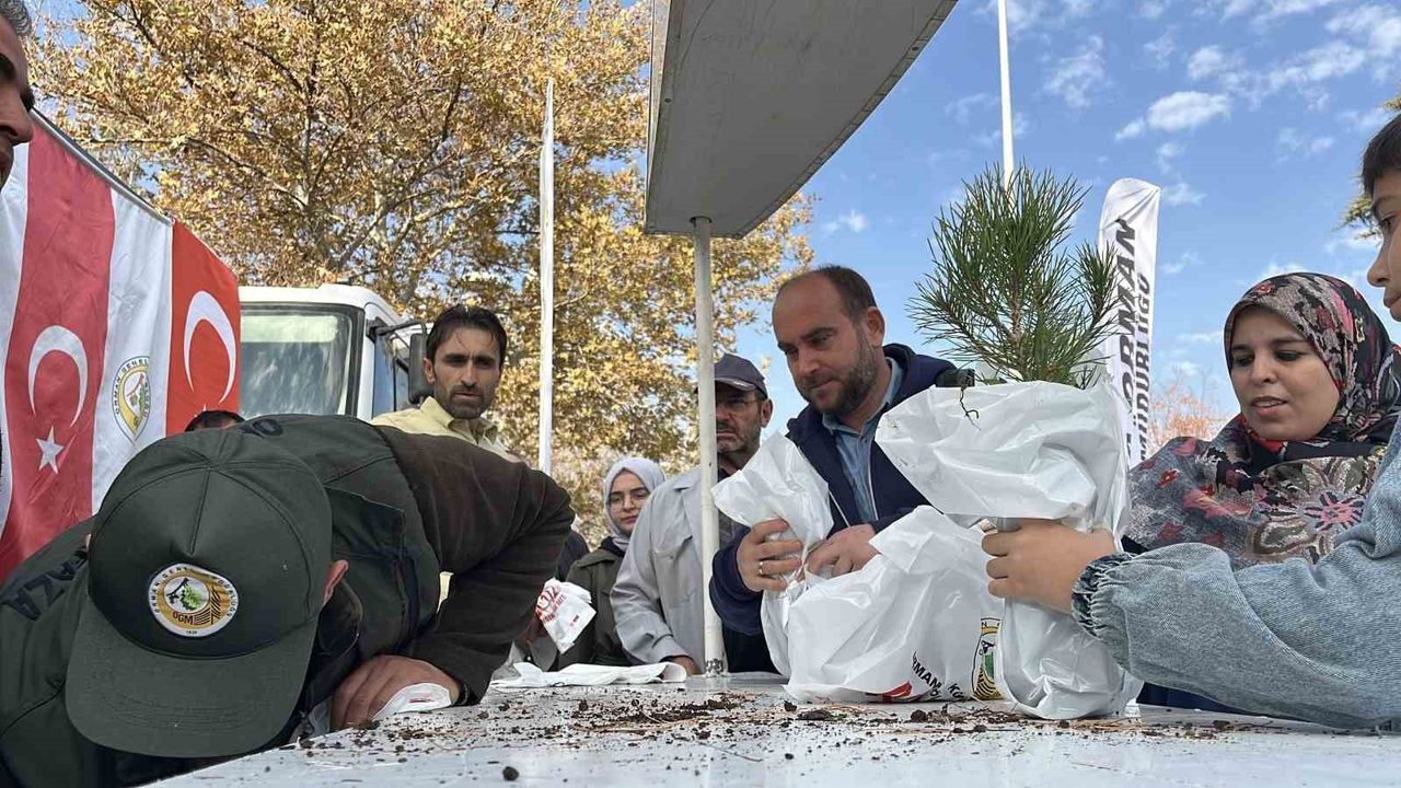 Konya'da 11 Kasım Milli Ağaçlandırma Günü'nde 33 bin 811 fidan toprakla buluştu