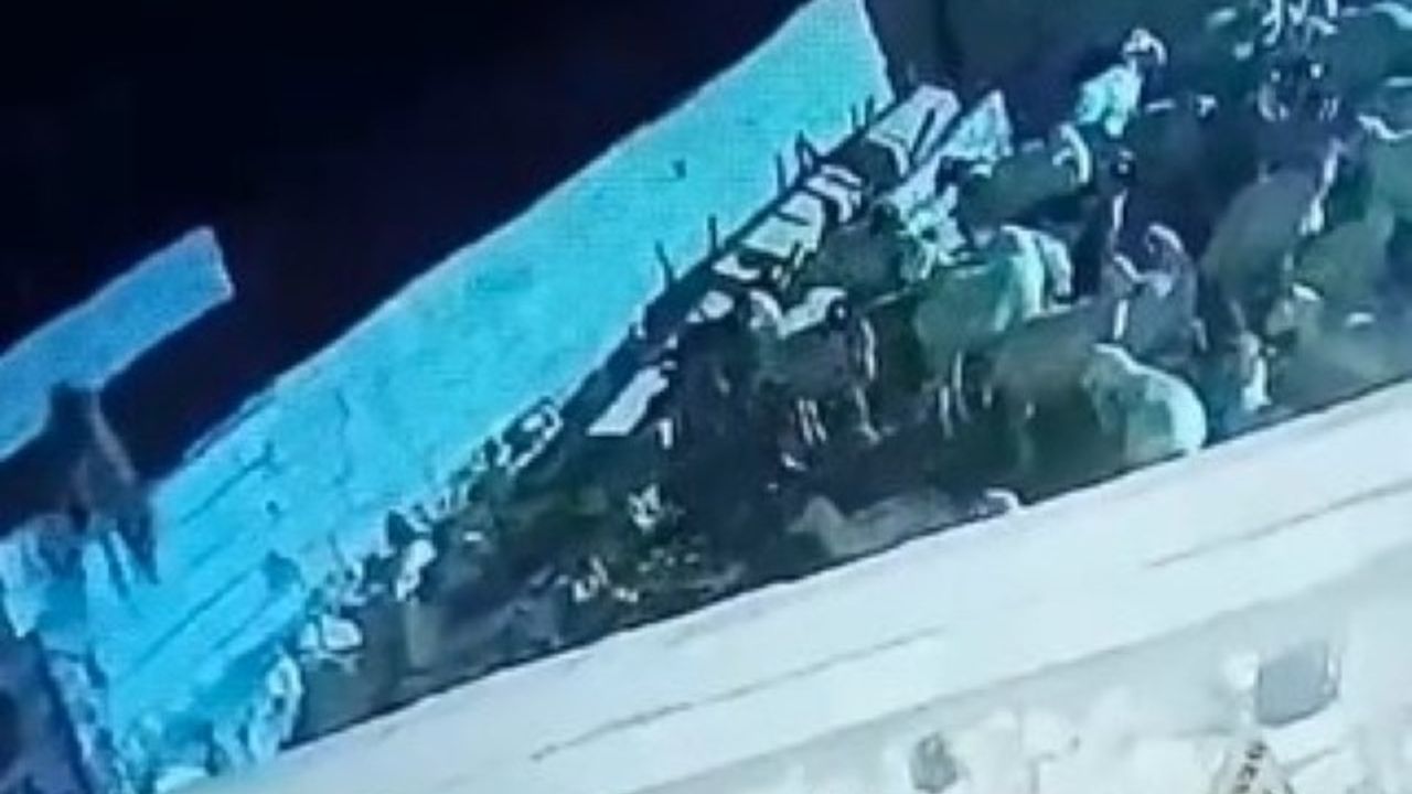 Konya Ereğli'de ağıla giren kurt bir küçükbaş hayvanı telef etti