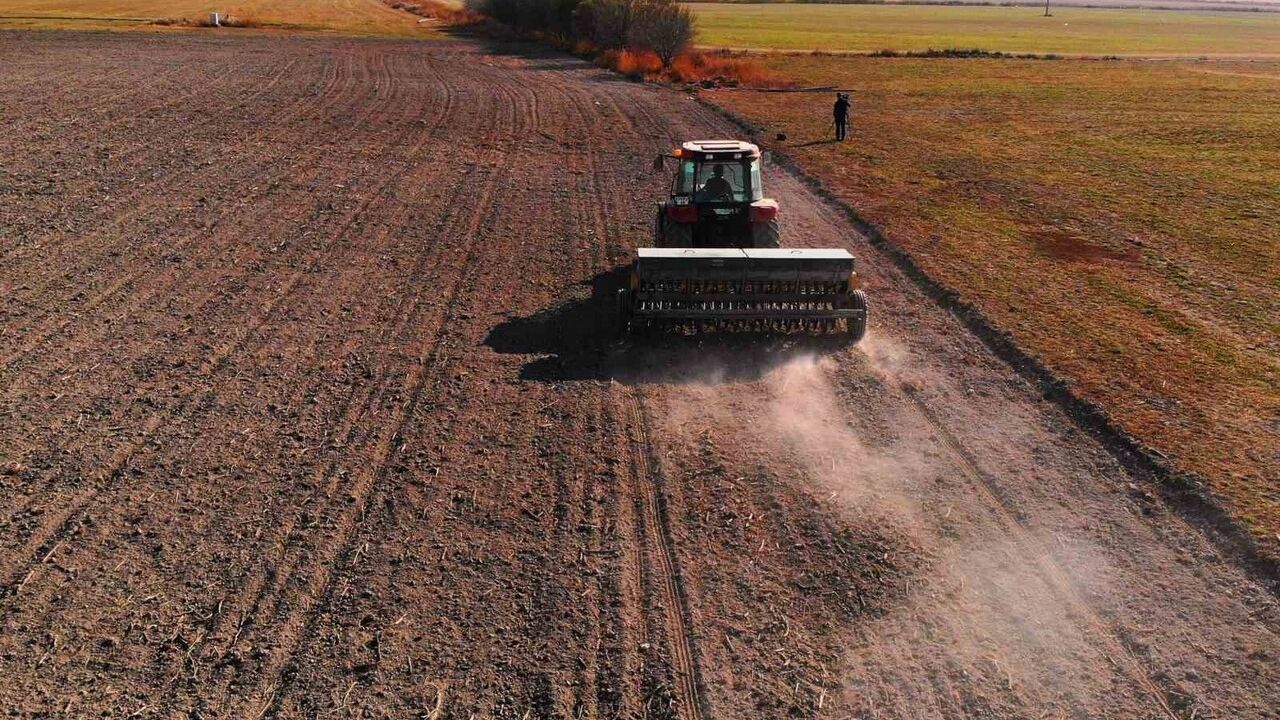 Konya Ovası’nda yağışlar kıraç hububat arazileri için can suyu oldu; rekolte yağışa bağlı