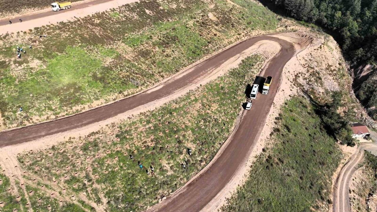 Körfez Belen’de 180 bin m² alana 3 bin 300 Toros sediri dikilecek