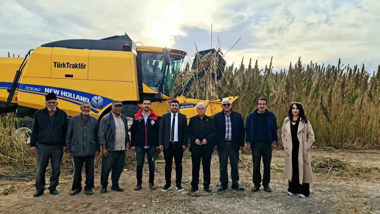 Kulu'da 15 dekarlık alanda endüstriyel kenevir hasadı başladı