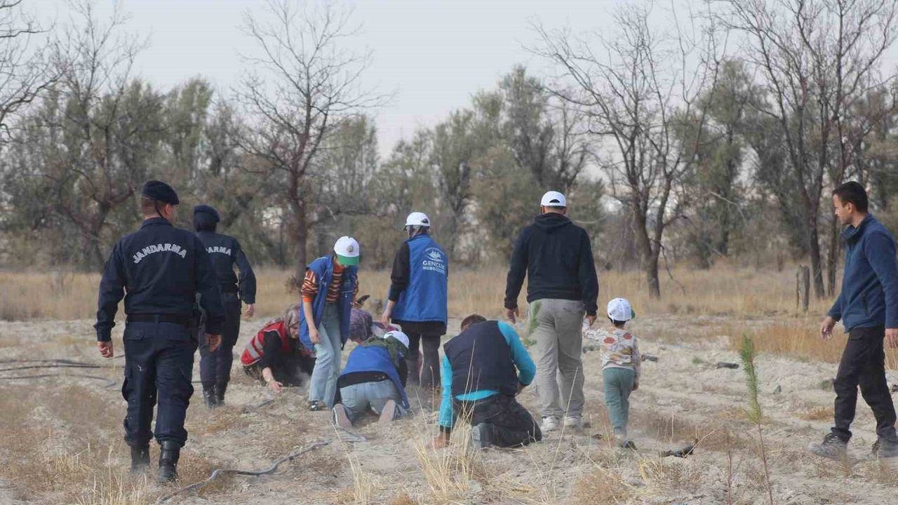 Kulu ve Karapınar'da 11 Kasım Milli Ağaçlandırma Günü kapsamında fidan dikimi gerçekleştirildi