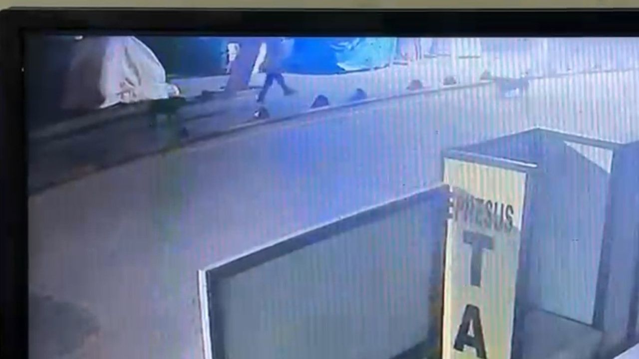 Kuşadası'nda sokak köpeğini vuran emekli astsubay serbest bırakıldı