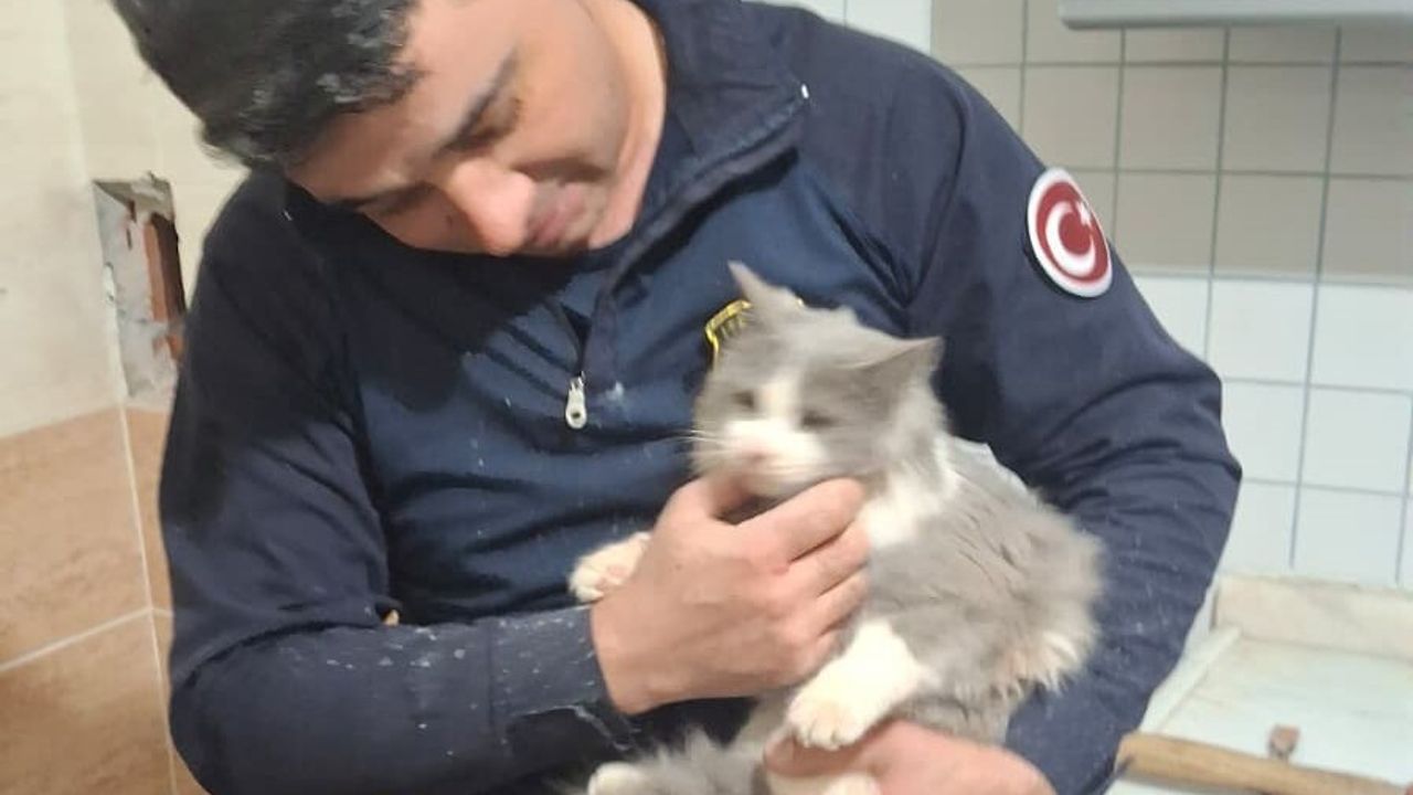 Malatya'da havalandırma boşluğuna düşen kedi itfaiye tarafından kurtarıldı