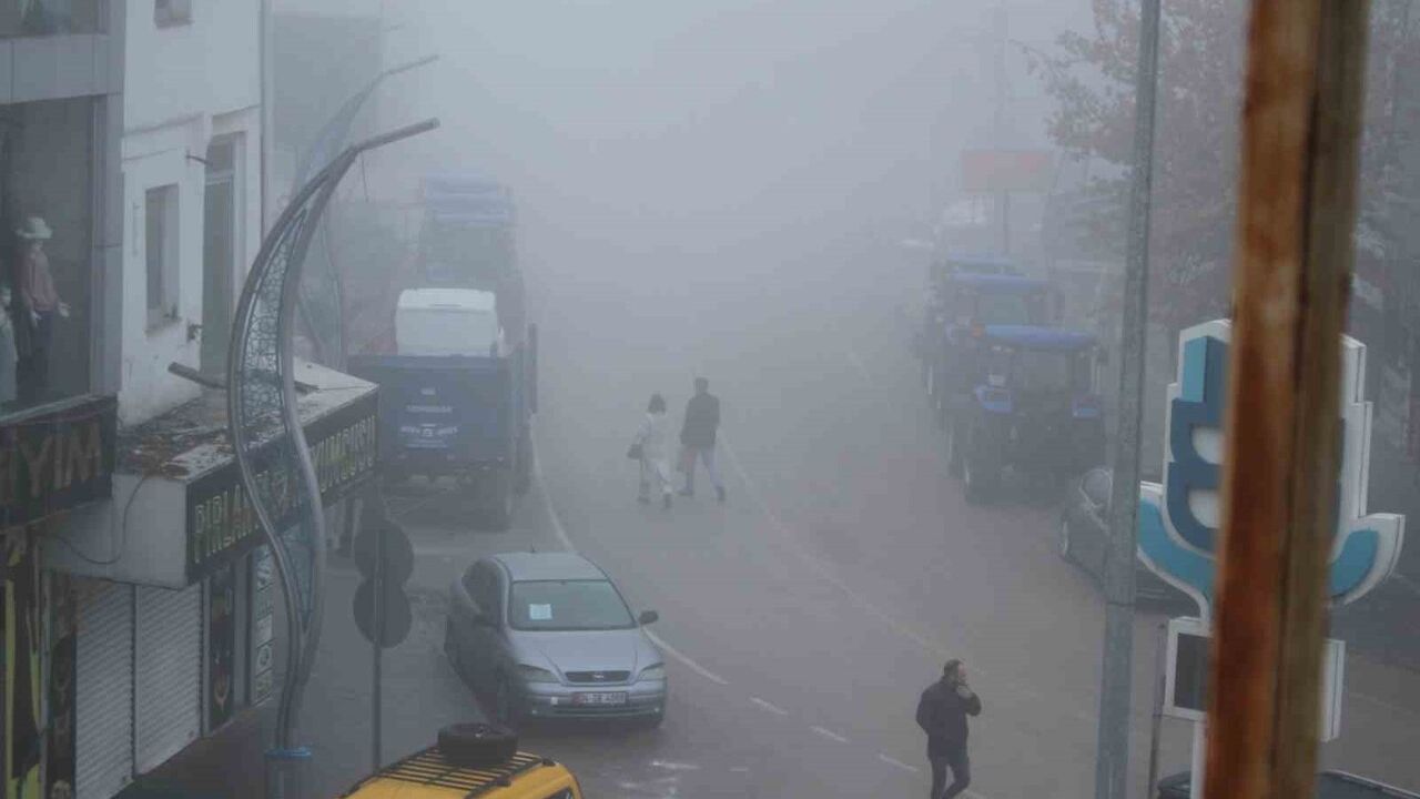 Malazgirt'te Yoğun Sis Günlük Yaşamı Olumsuz Etkiledi