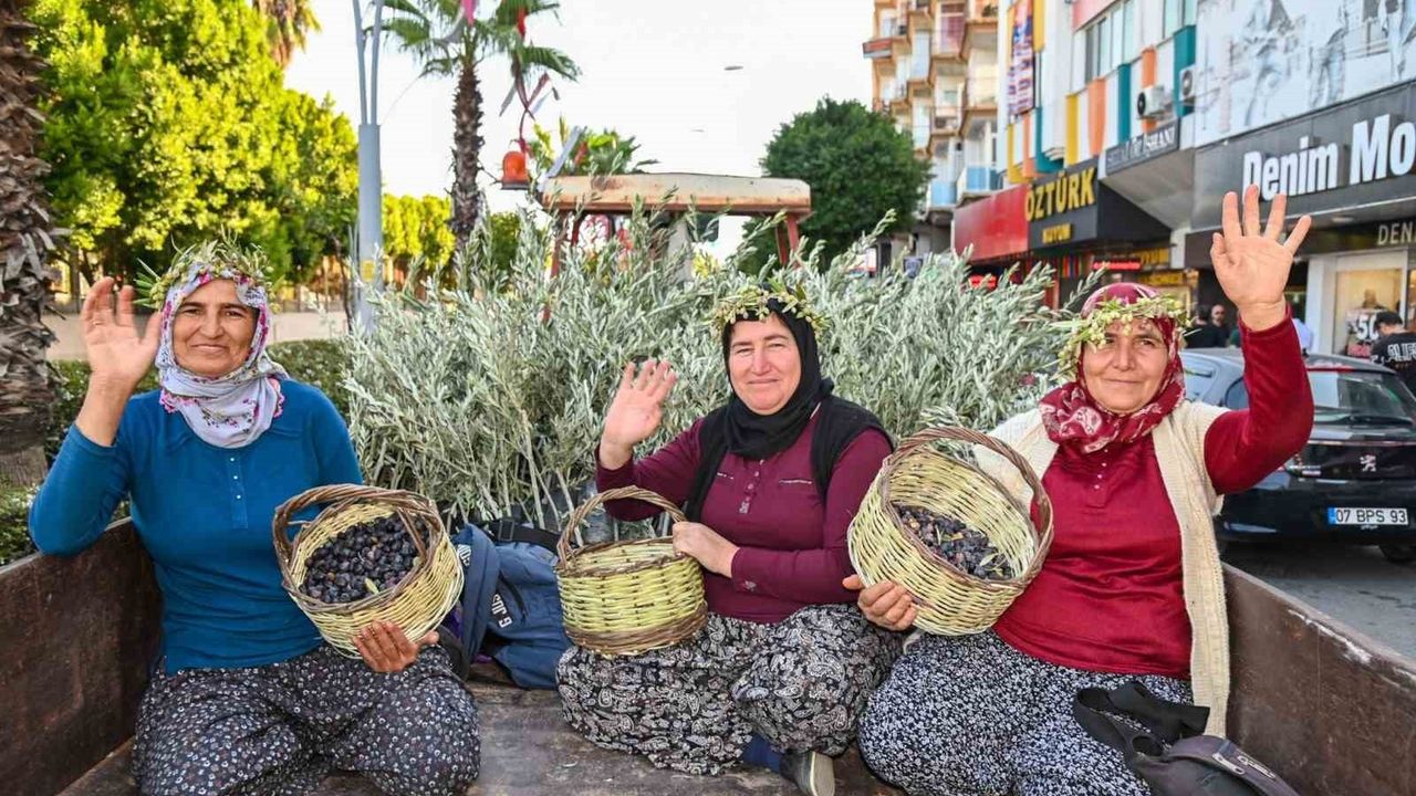 Manavgat’ta İkinci Zeytin ve Zeytinyağı Festivali 8-9 Kasım 2025'te Başlıyor