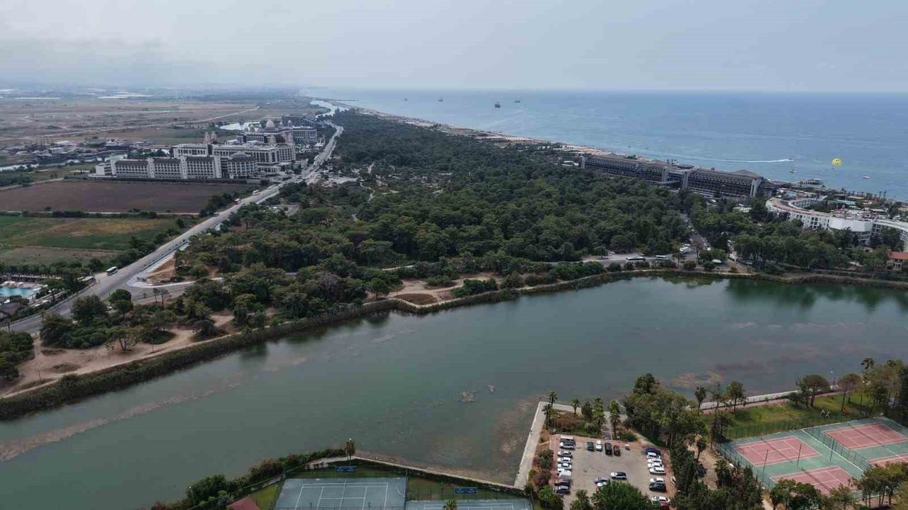 Manavgat'taki Sorgun Çamlığı, 350 yıllık endemik çamlar için tel çitle korunacak