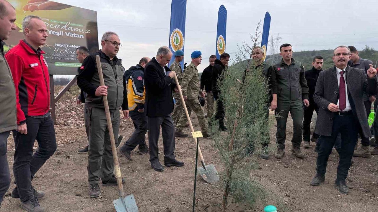 Manisa'da 2025 sonuna kadar 3,1 milyon fidan ve 5,9 milyon tohum toprakla buluşacak