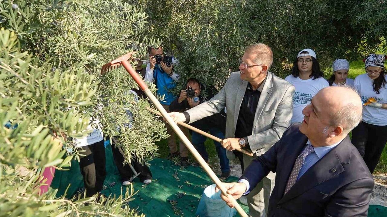 Manisa'da Denetimli Serbestlik Yükümlüleri Sarma İlkokulu'nda Zeytin Hasadı Yapıp Geliri Eğitime Aktardı