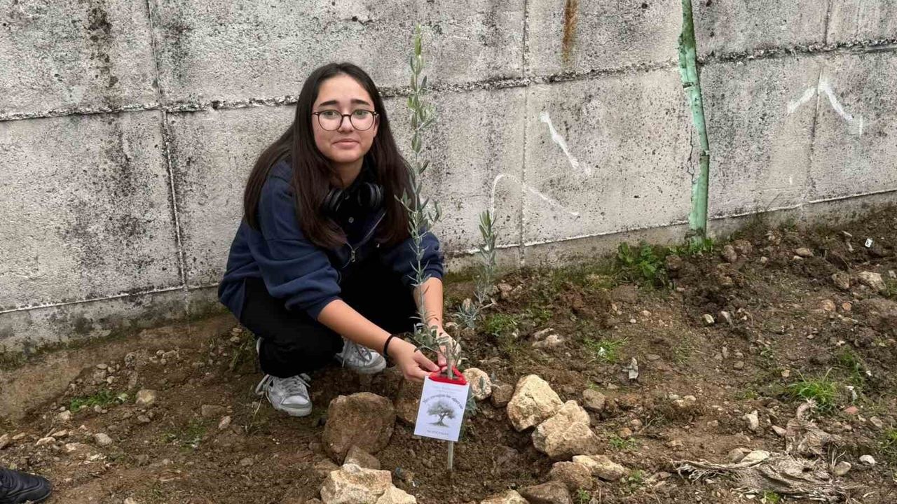 Manisa'da Ticaret Borsası Anadolu Lisesi bahçesine 60 zeytin fidanı dikildi