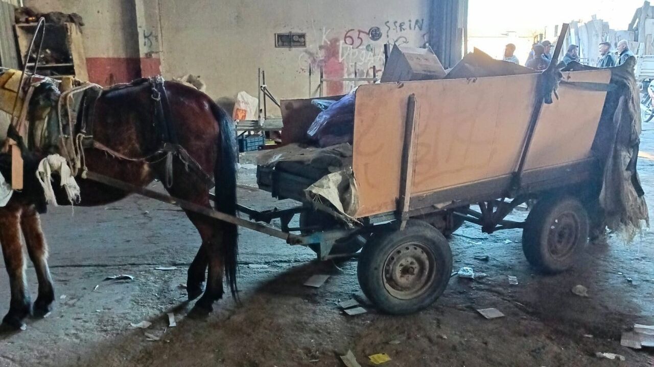 Manisa Salihli’de at arabası operasyonu: 2 araç trafikten men edildi