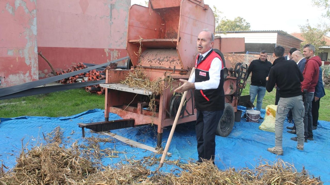 Manyas'ta İlk Kazak Fasulyesi Hasat Festivali Kocagöl Mahallesi'nde Düzenlendi