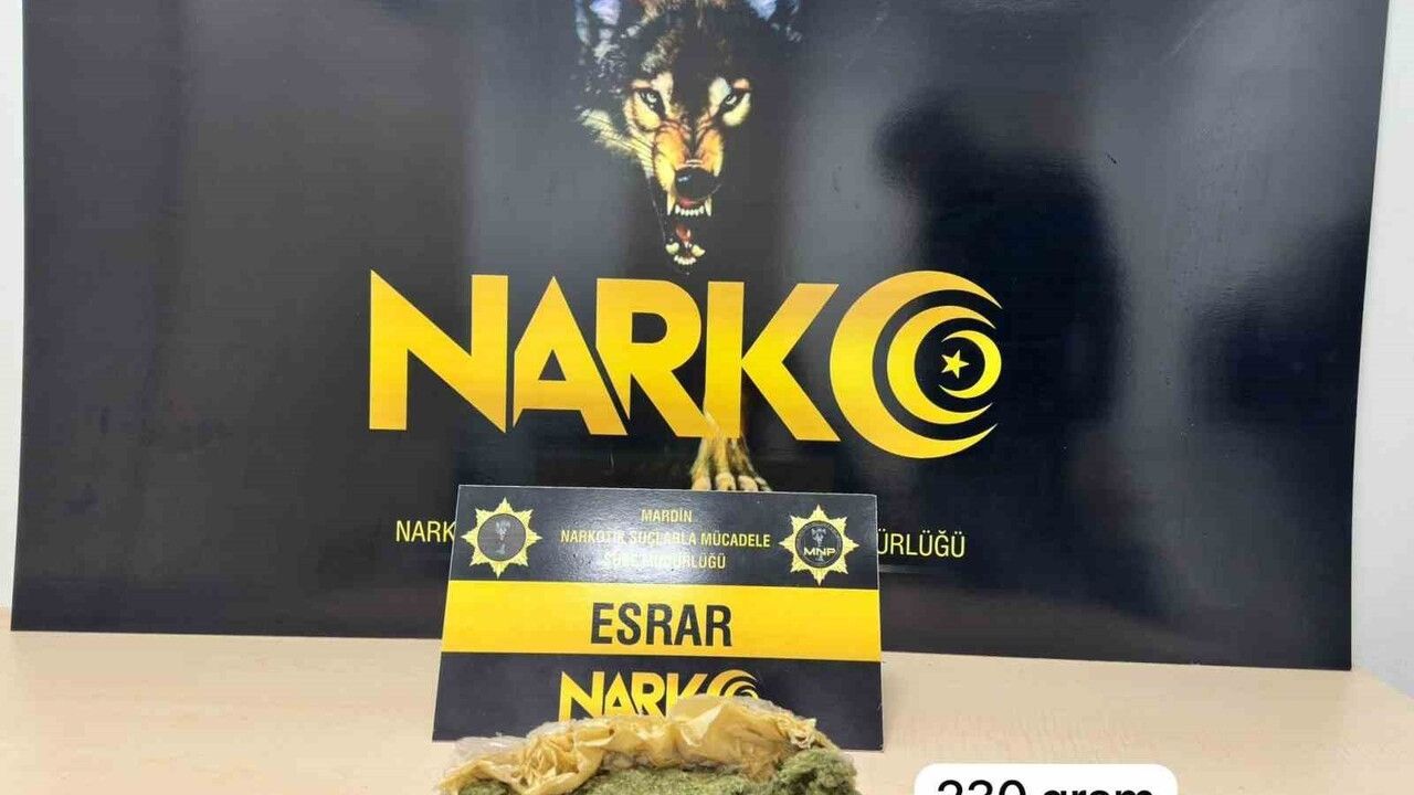 Mardin Artuklu'da uyuşturucu operasyonu: 2 şüpheli gözaltında, 375 extacy ve 230 gram esrar ele geçirildi