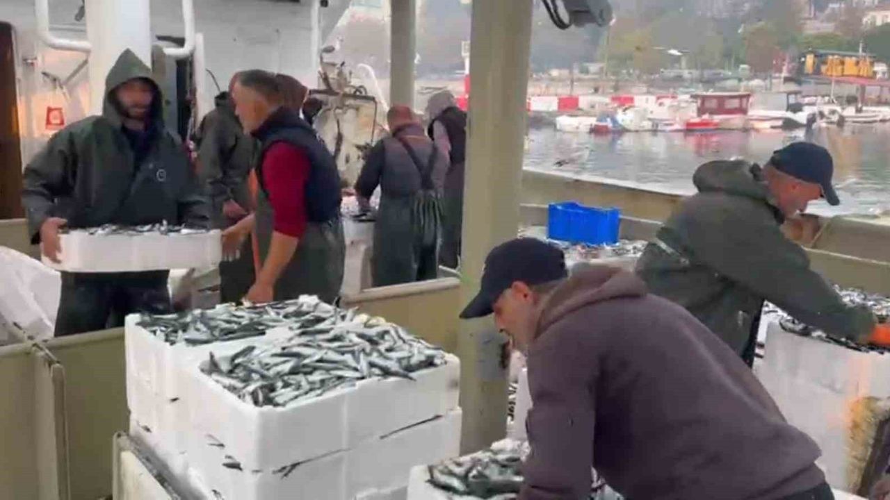 Marmara'da bereketli av: Karadenizli balıkçılardan bin kasa hamsi ve bin kasa sardalya