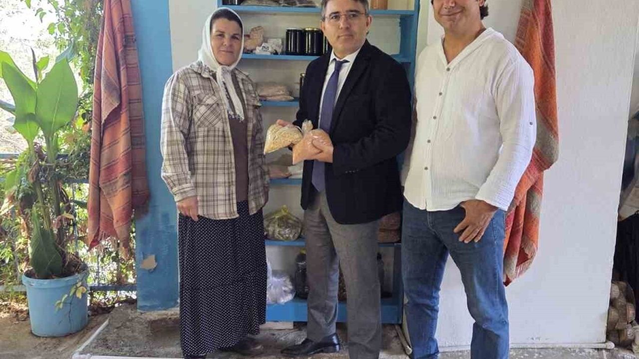 Marmaris Kaymakamı Nurullah Kaya Taşlıca Mahallesi'nde Yaklaşık 30 Hane ve İş Yerini Ziyaret Etti