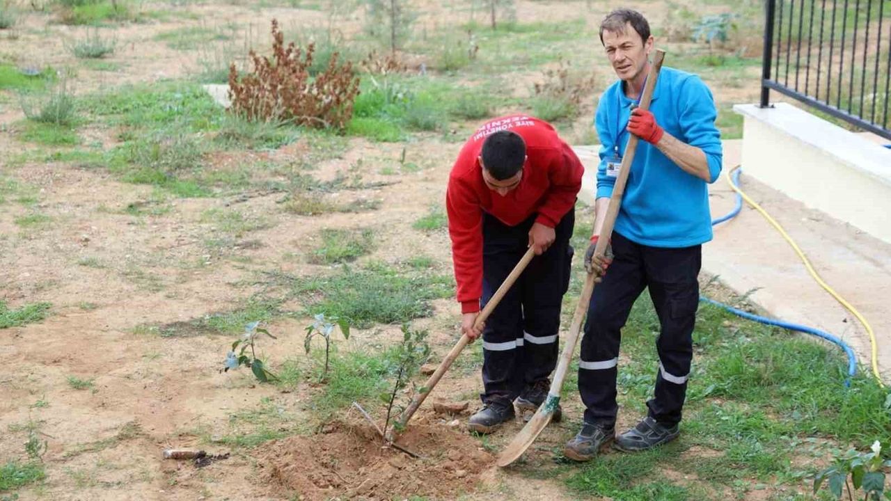 Menteşe Akçaova TOKİ Sitesi, 11 Kasım Milli Ağaçlandırma Günü'nde fidan dikimi gerçekleştirdi