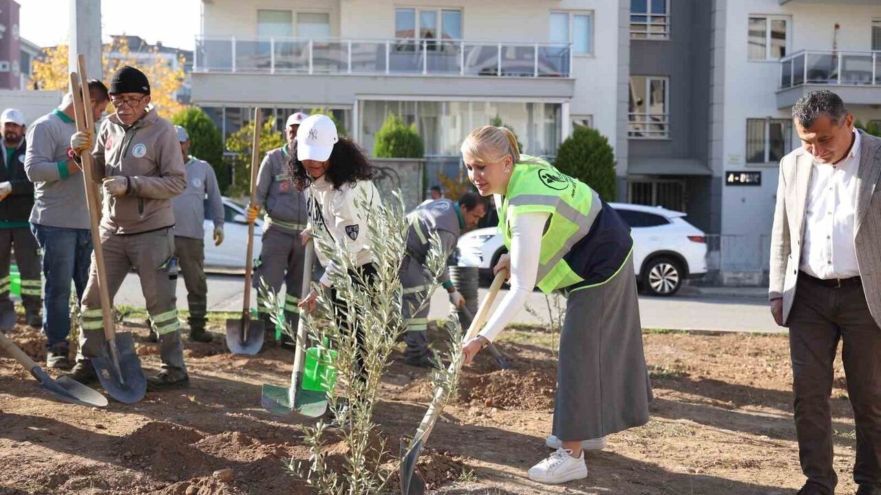 Merkezefendi'de zeytin fidanı dikimi: Başkan Doğan 'Yeşili korumaya devam edeceğiz'