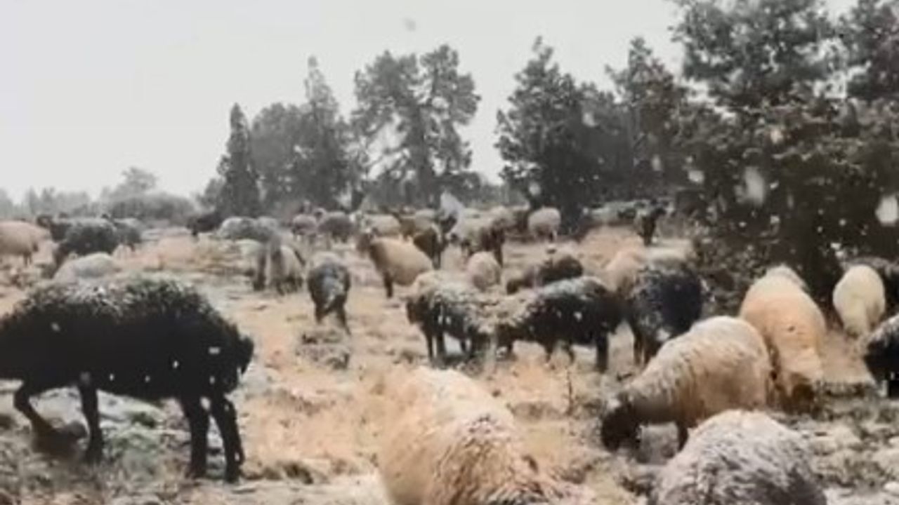 Mersin'de yüksek rakımlarda mevsimin ilk karı