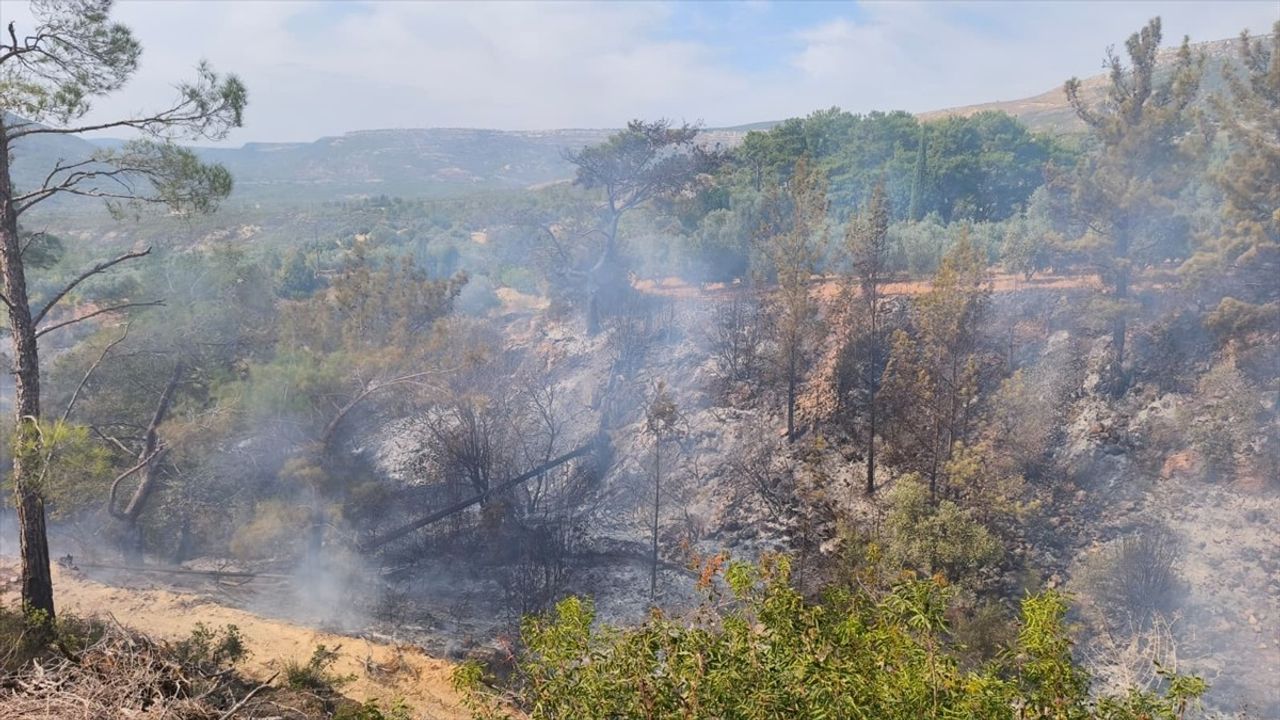 Mersin Gülnar'da bahçede yakılan ateş yangına dönüştü: 1 kişi hayatını kaybetti