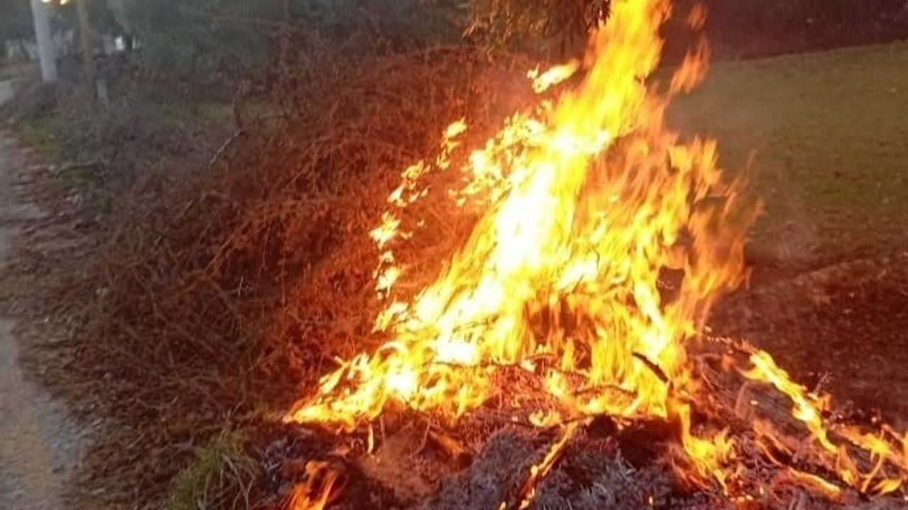 Milas'ta iki orman yangını ekiplerin hızlı müdahalesiyle büyümeden söndürüldü