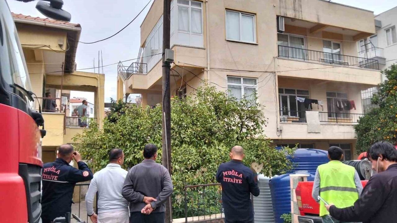 Milas'ta ocakta unutulan yemek yangına yol açtı: 2 kedi dumandan yaşamını yitirdi