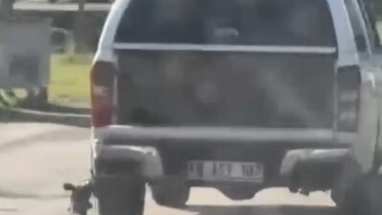 Muğla'da araçla sürüklenen köpeğin ölümüyle ilgili iki kişi gözaltına alındı