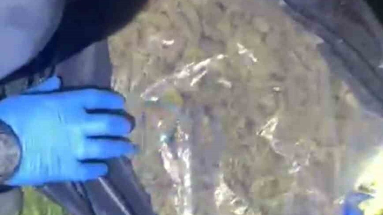 Muğla'da Menteşe operasyonunda piyasa değeri 4 milyon TL olan uyuşturucu ele geçirildi