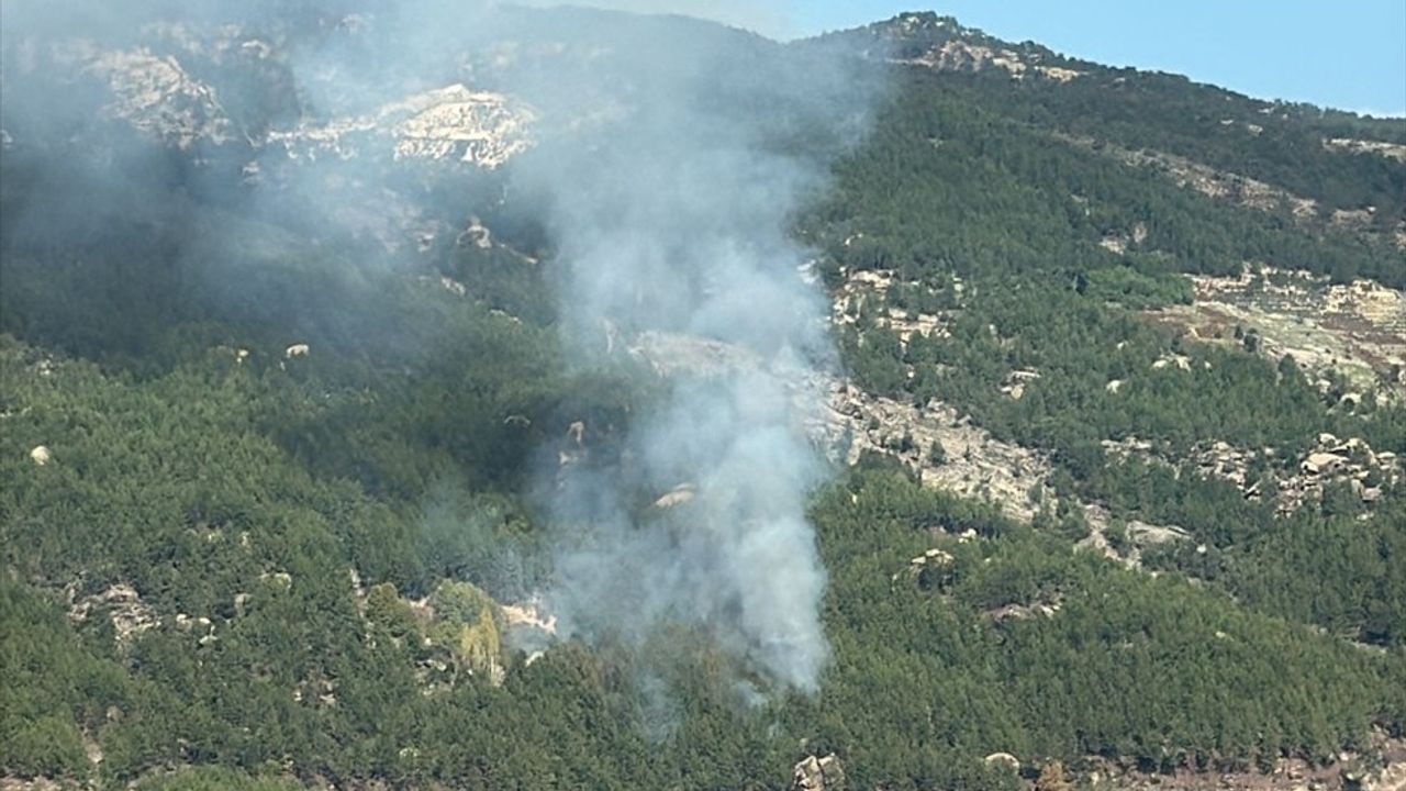 Muğla Kavaklıdere'de orman yangını — Havadan ve karadan müdahale sürüyor