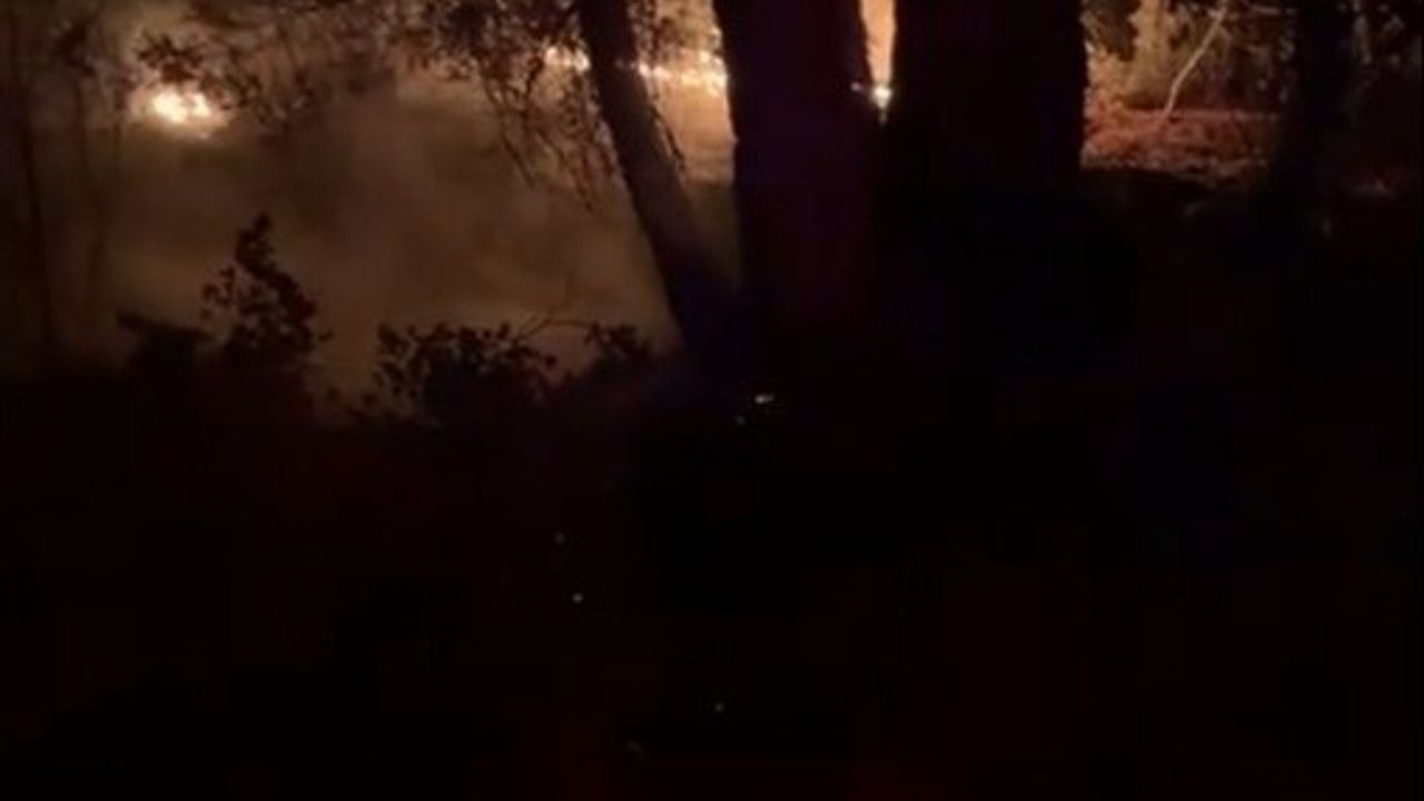 Muğla Kavaklıdere'de orman yangını kısa sürede kontrol altına alındı