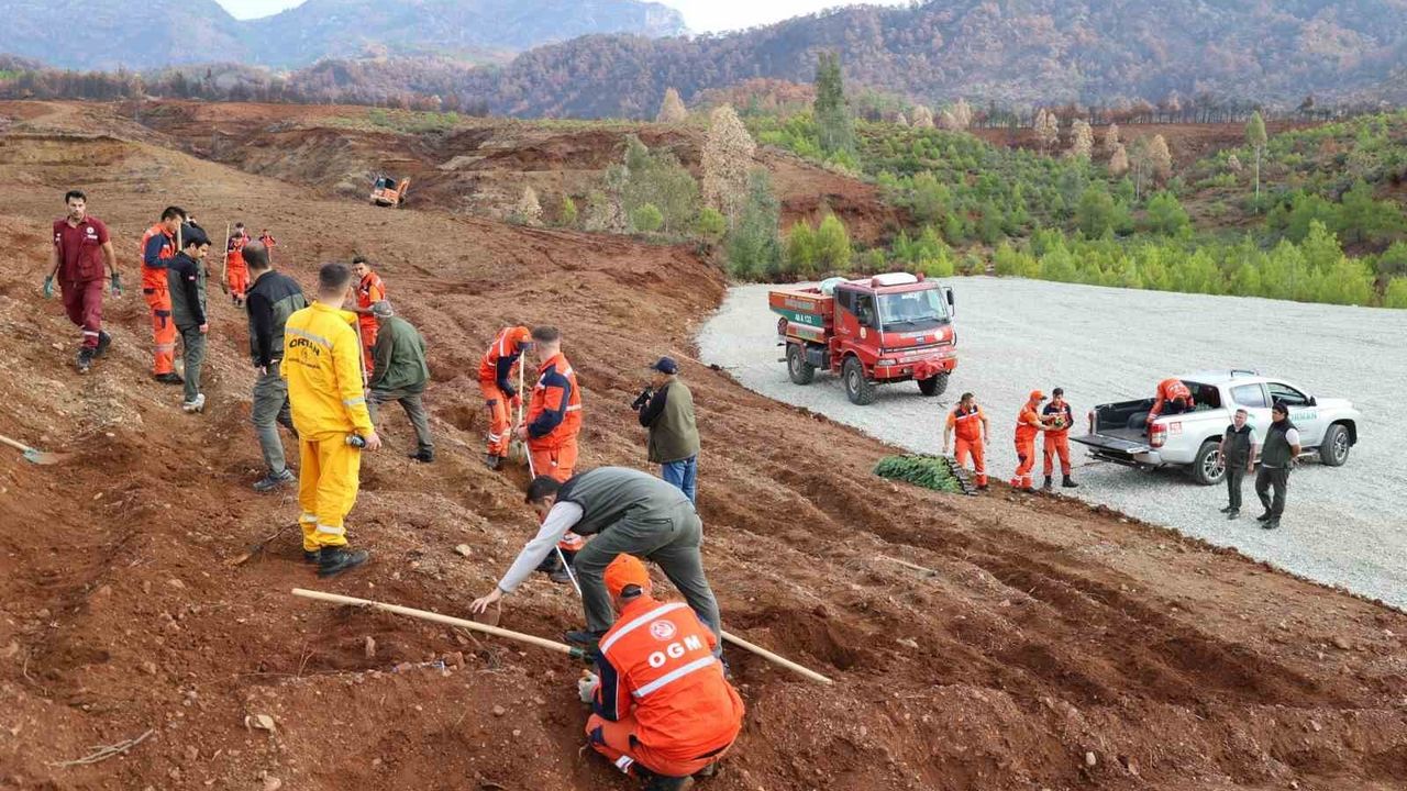 Muğla Orman Bölge Müdürlüğü 11 Kasım 'Yeşil Vatan' Seferberliğine Hazır