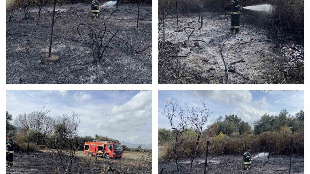 Muğla Yatağan'da üzüm bağlarında yangın: Yaklaşık 600 m² alan etkilendi