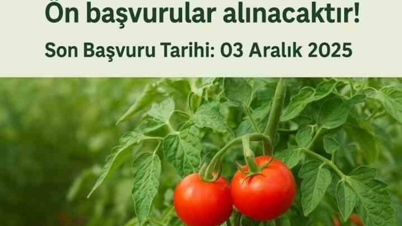 Muradiye'de 'Domates Yetiştiriciliği' Projesi İçin Ön Başvurular Başladı — Son Tarih 3 Aralık 2025